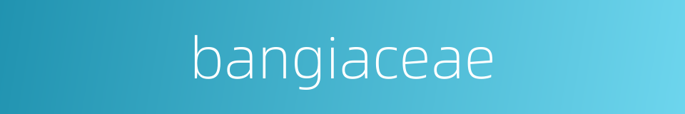 bangiaceae的同义词