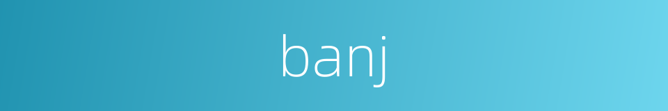 banj的同义词