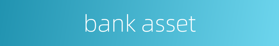 bank asset的同义词