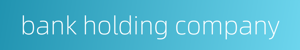 bank holding company的同义词