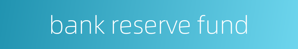 bank reserve fund的同义词