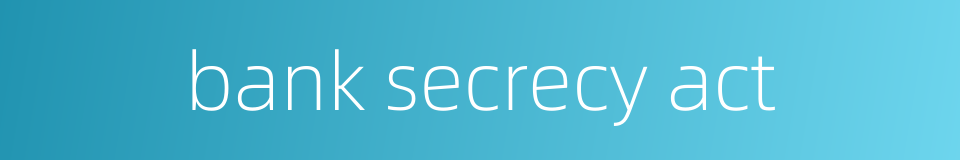 bank secrecy act的同义词
