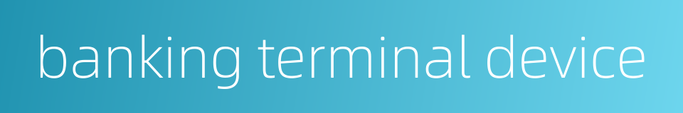 banking terminal device的同义词