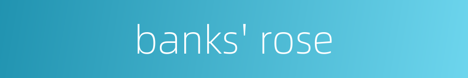 banks' rose的同义词