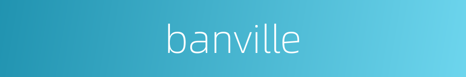 banville的同义词