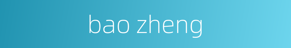 bao zheng的同义词