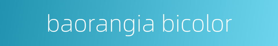 baorangia bicolor的同义词