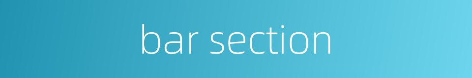 bar section的同义词