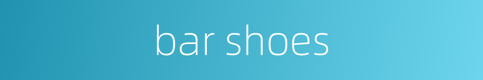 bar shoes的同义词