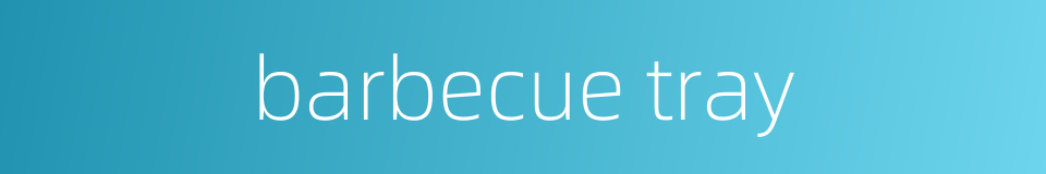 barbecue tray的同义词