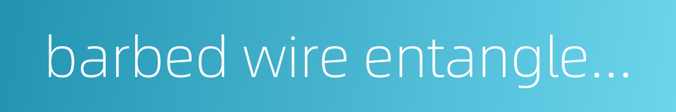 barbed wire entanglement的同义词