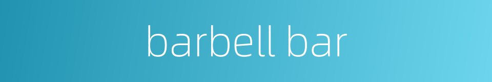 barbell bar的同义词