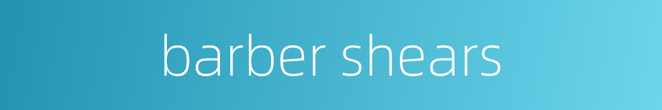 barber shears的同义词