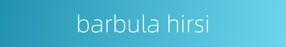 barbula hirsi的同义词