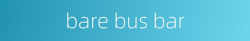 bare bus bar的同义词