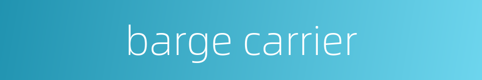 barge carrier的同义词