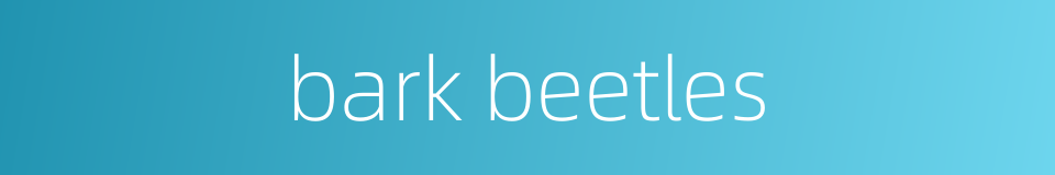 bark beetles的同义词