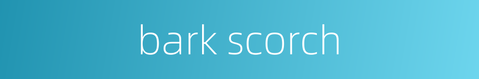 bark scorch的同义词