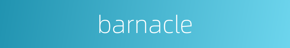 barnacle的同义词