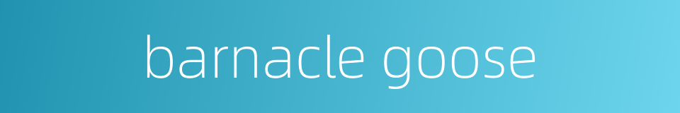 barnacle goose的同义词