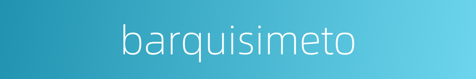 barquisimeto的同义词