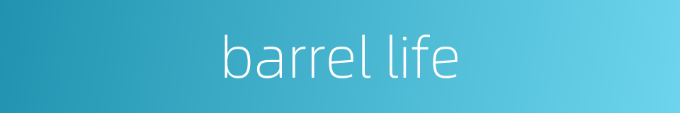 barrel life的同义词