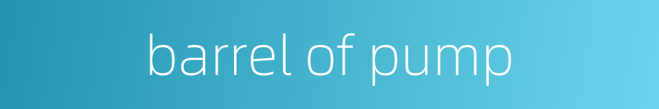 barrel of pump的同义词