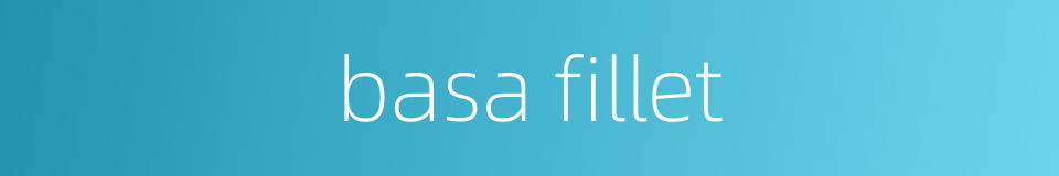 basa fillet的同义词