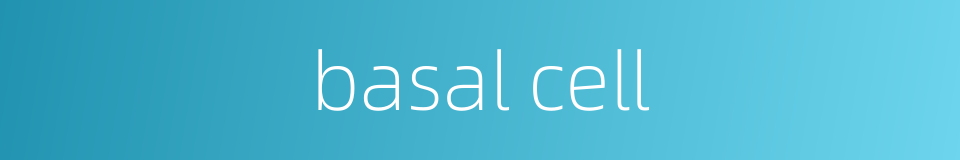 basal cell的同义词