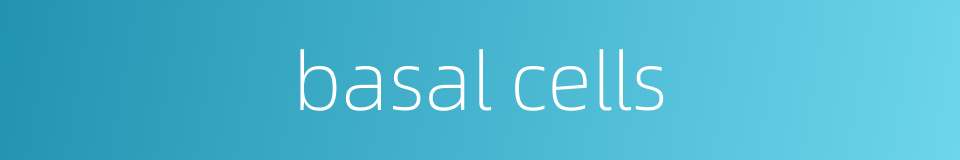 basal cells的同义词