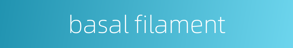 basal filament的同义词