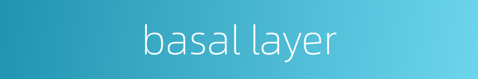 basal layer的同义词