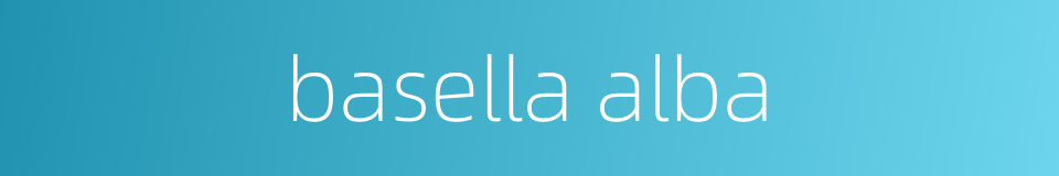 basella alba的同义词