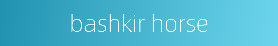 bashkir horse的同义词