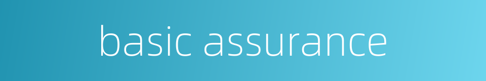 basic assurance的同义词