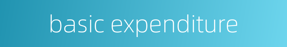basic expenditure的同义词