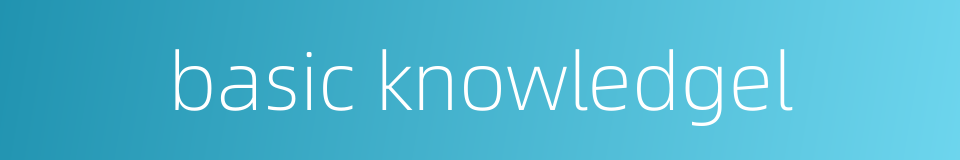 basic knowledgel的同义词