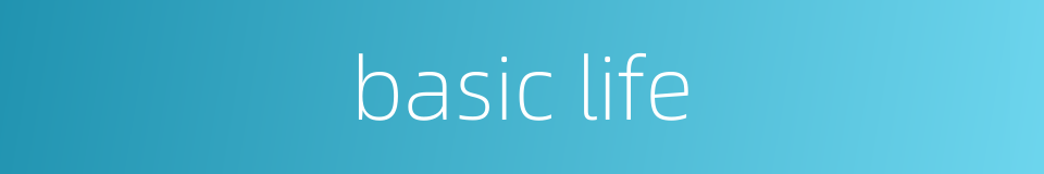 basic life的同义词