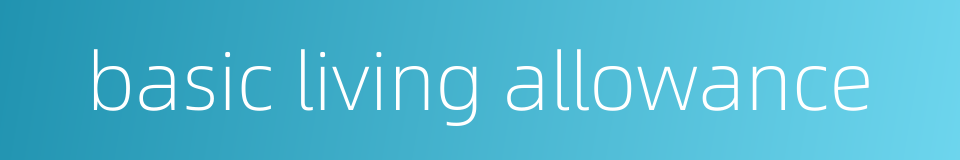 basic living allowance的同义词