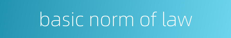 basic norm of law的同义词