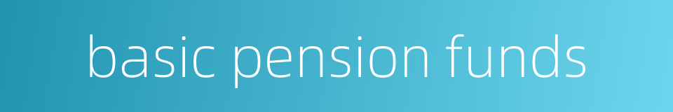 basic pension funds的同义词