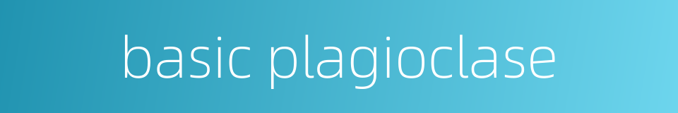 basic plagioclase的同义词
