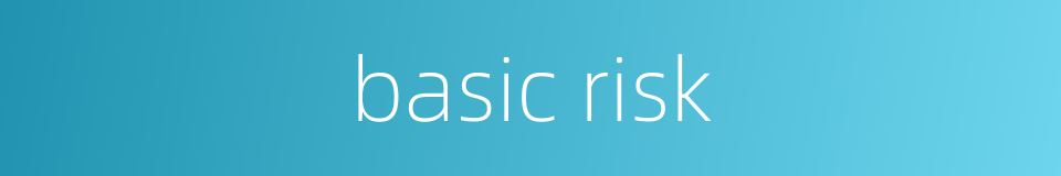 basic risk的同义词