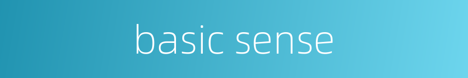 basic sense的同义词