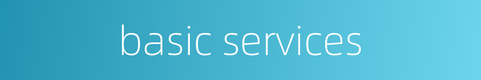 basic services的同义词