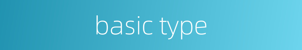 basic type的同义词