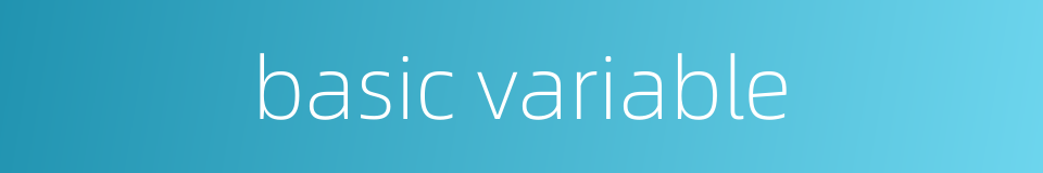 basic variable的同义词
