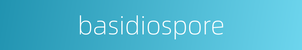 basidiospore的同义词