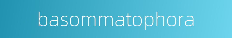basommatophora的同义词