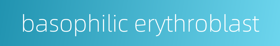basophilic erythroblast的同义词